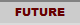 FUTURE